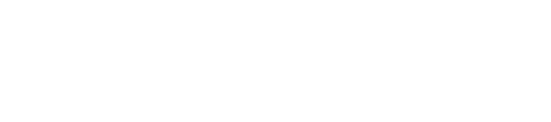 National Audits Group